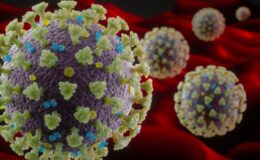 TÜBA’nın koronavirüs raporu zenginleştirildi