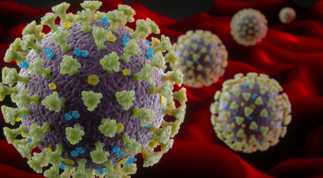 TÜBA’nın koronavirüs raporu zenginleştirildi