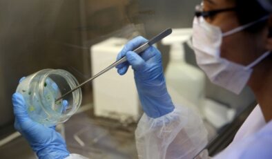 5 stratejik konuda çalışma başlatıldı