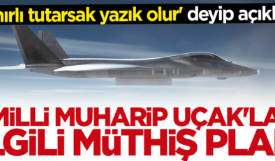 Temel Kotil’den dikkat çeken açıklama: Sınırlı tutarsak yazık olur
