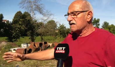 Rizeli arıcı ayılara sitem etti: 21 kovan bal yediler