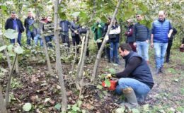 1 taşla 2 kuş! Fındık üreticisine bayram ettiren formül