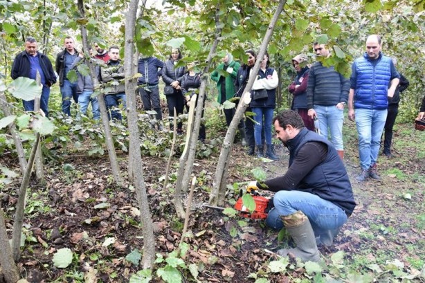 1 taşla 2 kuş! Fındık üreticisine bayram ettiren formül