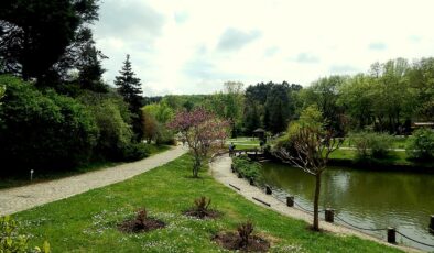 Atatürk Arboretumu & Göletleri ve Balkonları | Sarıyer, İstanbul