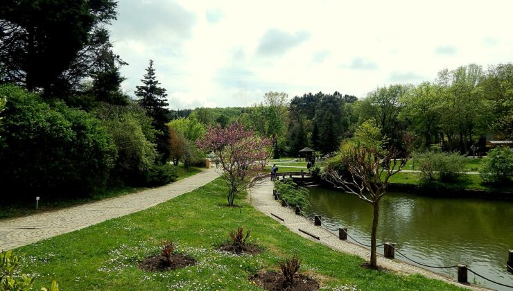 Atatürk Arboretumu & Göletleri ve Balkonları | Sarıyer, İstanbul