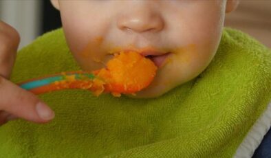 Bebeklere yönelik gıda ve devam formüllerinin üretimine düzenleme