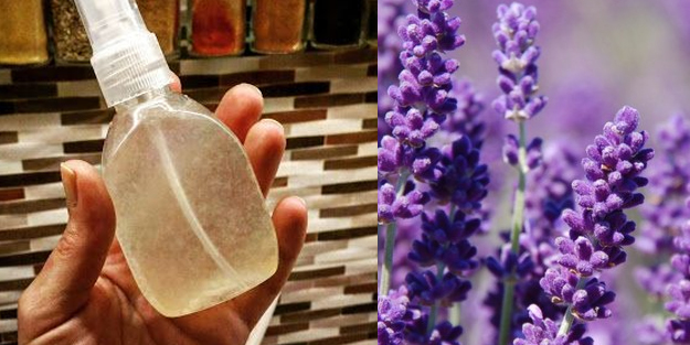 Bit gelmemesi için ne yapılır? Bit önleyici lavantalı bit savar saç losyonu, bitleri kovucu etkisi var!