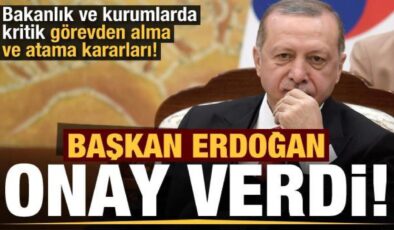 Erdoğan imzaladı: Bakanlık ve kurumlarda kritik görevden alma ve atama kararları!