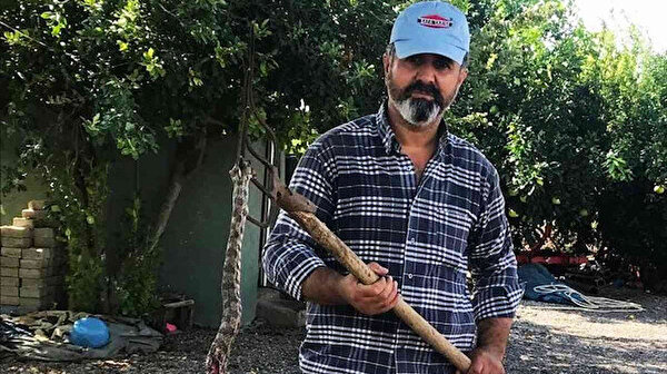 Evine giren yılan öldürüldü: En zehirli yılanlardan