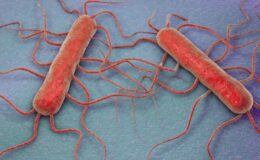 ABD’de et yiyen bakteri alarmı: 65 vakadan 11’i öldü