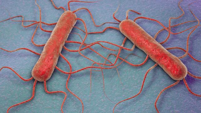 ABD’de et yiyen bakteri alarmı: 65 vakadan 11’i öldü