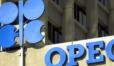 OPEC+ grubu günlük petrol üretimini azaltma kararı aldı