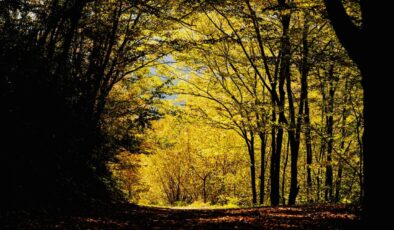 Maden Deresi doğaseverlere sonbaharın güzelliklerini yaşatıyor