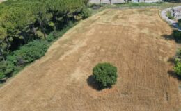 Meslek lisesi öğrencileri, şeker pancarı ve buğday yetiştirerek geleceğe hazırlanıyor