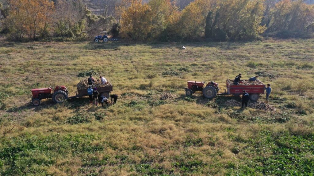 Proje okul kapsamındaki liseye LGS sonuçlarına göre yerleşen öğrenciler, ilk yıl İngilizce hazırlık eğitimi alıyor. Okulda, teorik derslerin yanı sıra saha çalışmaları da yapılıyor. 