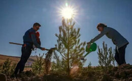 Bakan Kirişci açıkladı: Türkiye ağaçlandırmada Avrupa birincisi