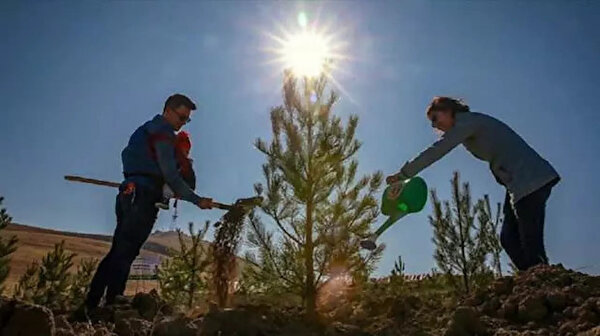 Bakan Kirişci açıkladı: Türkiye ağaçlandırmada Avrupa birincisi