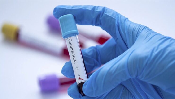 İki haftalık corona virüs tablosu açıklandı (31 Ekim-13 Kasım)