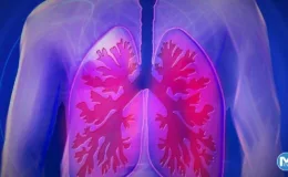 Dünyada yaklaşık 2 milyon kişi yaşamını yitirdi: Saatte 20 can alıyor