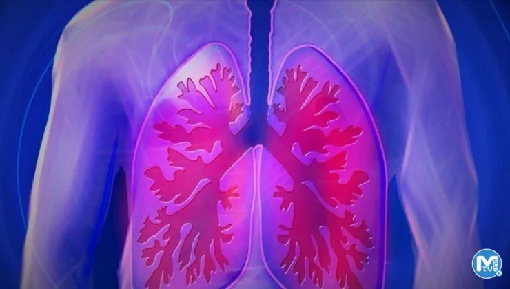 Dünyada yaklaşık 2 milyon kişi yaşamını yitirdi: Saatte 20 can alıyor