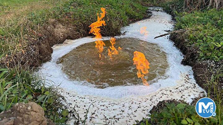 Düzce’deki depremin ardından oldu: Yanan su şaşkına çevirdi