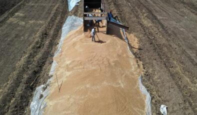 Türkiye’nin hububat ve bakliyat ihracatı 1 milyar doları aştı