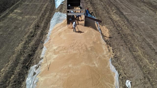 Türkiye’nin hububat ve bakliyat ihracatı 1 milyar doları aştı