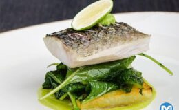 Ispanaklı Deniz Levreği