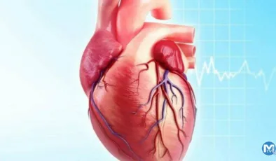 Kalp krizi sonrası oluşan deformasyon yüzde 98 oranında onarılabilecek