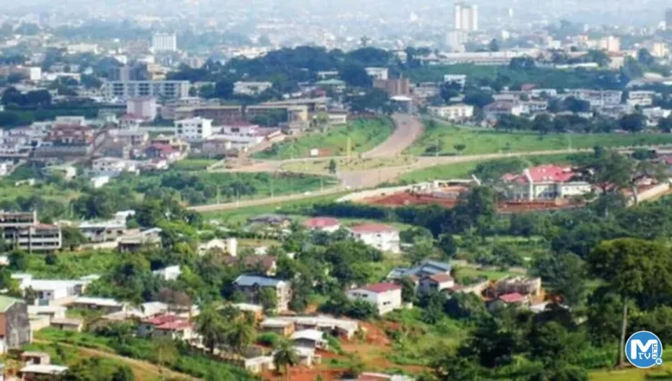 Kamerun’daki toprak kayması felaketinde can kaybı 14’e yükseldi