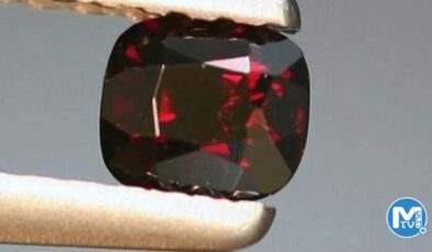 Muğla’da definecilerin evinde ele geçirildi! Piyasa değeri 200 milyon lira