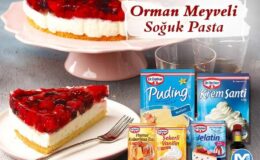Orman Meyveli Soğuk Pasta