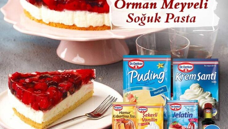 Orman Meyveli Soğuk Pasta