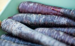 Kırıkhan siyah havucu tescillendi