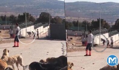 Türkiye’yi sarsan görüntü! Konya’daki vahşete 2 gözaltı