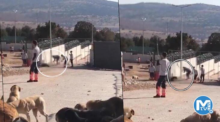 Türkiye’yi sarsan görüntü! Konya’daki vahşete 2 gözaltı