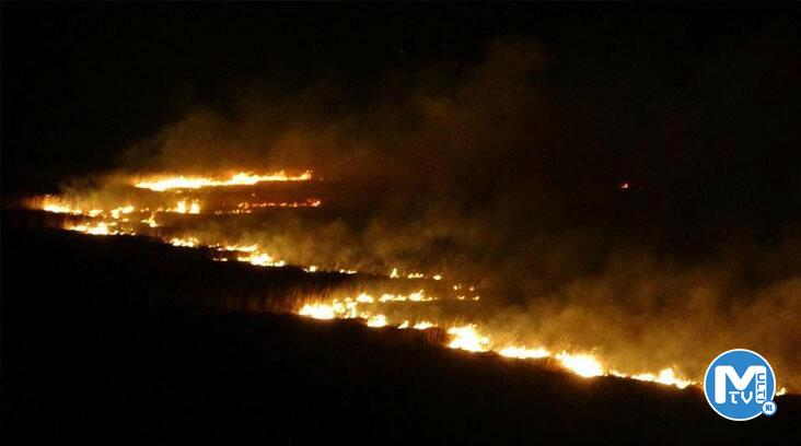 Yüksekova’nın kuş cenneti 4 gündür alev alev yanıyor