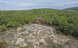 Kaliteli bal için yılın yarısını evinden uzakta geçiriyor