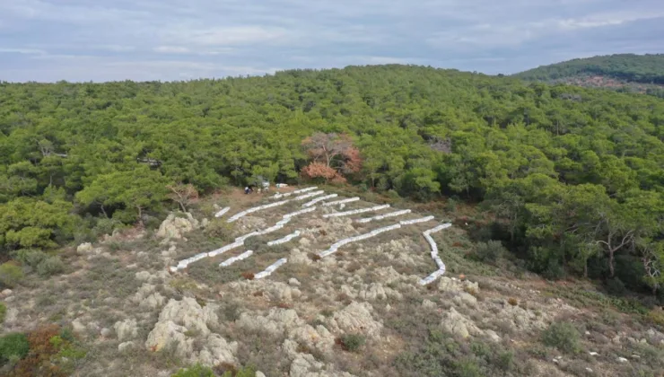 Kaliteli bal için yılın yarısını evinden uzakta geçiriyor