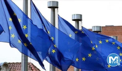 AB ülkeleri ormanları tahrip eden ürünleri yasaklıyor