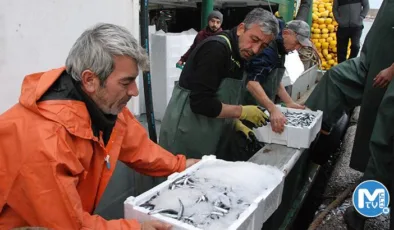 Amasra açıklarına ağ atan balıkçılar, 375 ton hamsiyle döndü