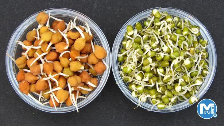Besin değerini artırmanın basit ve sağlıklı yolu: Filizlendirme