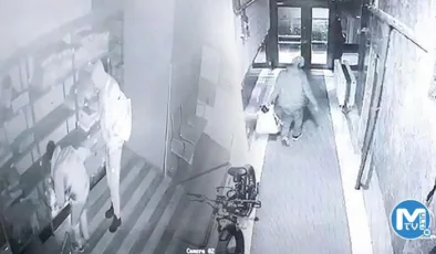 Eczaneyi soyan hırsızlar cinsel performans artırıcı ilaçları götürdü