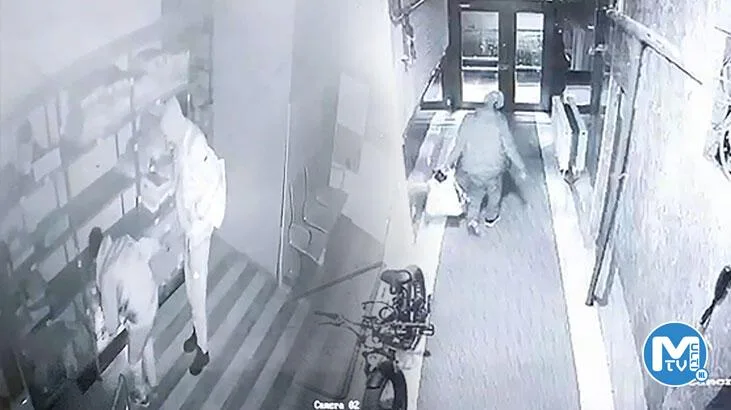 Eczaneyi soyan hırsızlar cinsel performans artırıcı ilaçları götürdü