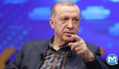 Gerekirse referanduma götürürüz