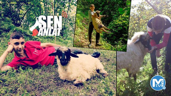 Hayattaki en büyük tutkusu! Adını ‘Kızım’ koydu, bırakınca ağlama krizine giriyor