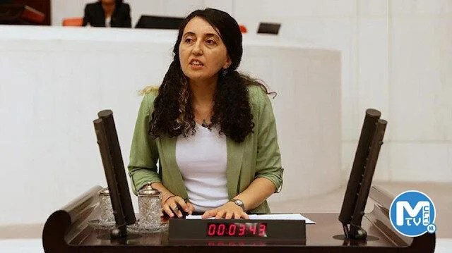 HDP’li Ebru Günay ‘silah ve çatışma için ayrılan tutar’ sözleriyle savunmaya ayrılan bütçeyi eleştirdi