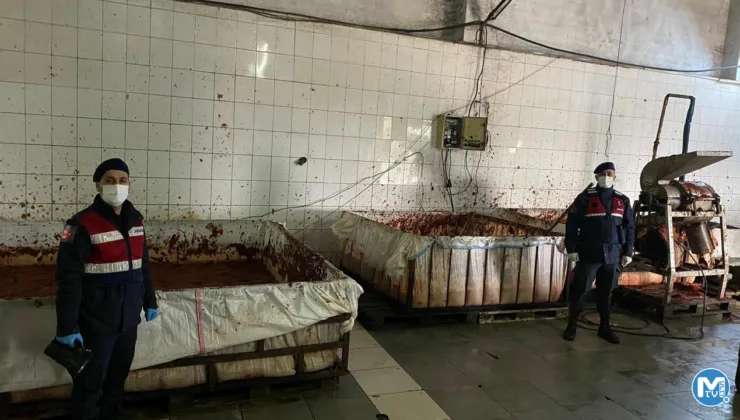 İzmir’de merdiven altı üretilen 25 ton salça ele geçirildi