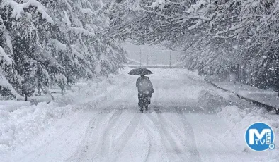 Japonya’da yoğun kar yağışları: 8 kişi öldü