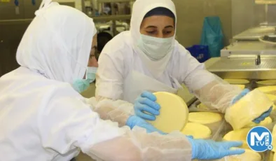 Kasım ayında fiyatı en fazla artan ürün tereyağı oldu